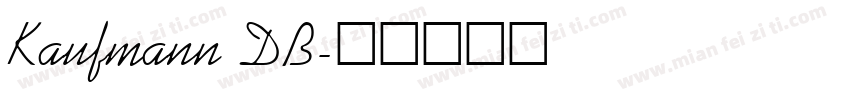 Kaufmann DB字体转换